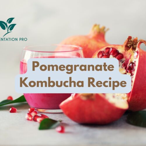 Pomegranate Kombucha Recipe