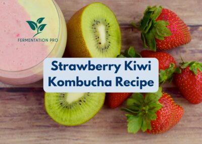 Strawberry Kiwi Kombucha Recipe