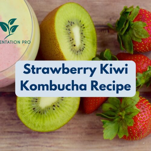Strawberry Kiwi Kombucha Recipe