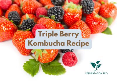 Triple Berry Kombucha Recipe