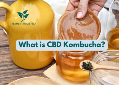 What is CBD Kombucha