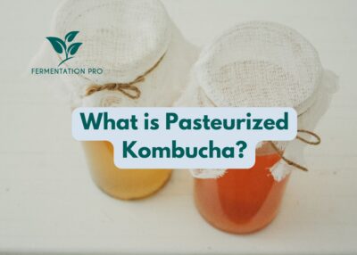 What is pasteurized kombucha