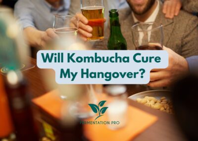 Will Kombucha Cure My Hangover?