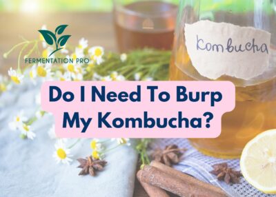 Do I Need To Burp My Kombucha?