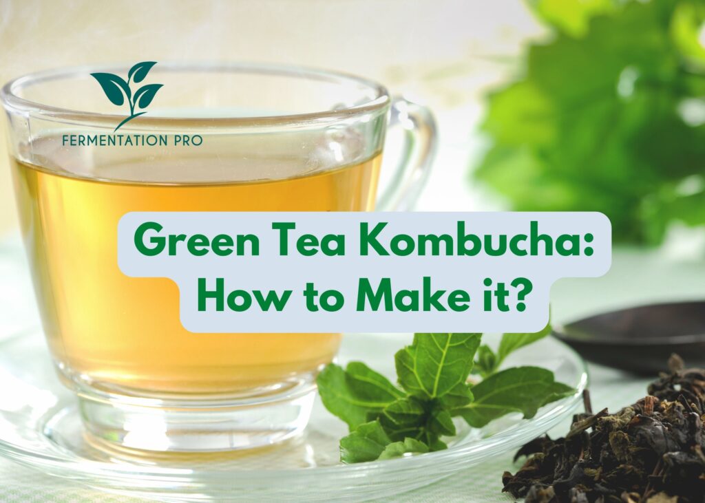 Green Tea Kombucha How to Make it