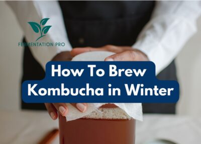 How To Brew Kombucha in Winter