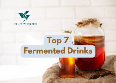 Top 7 Fermented Drinks