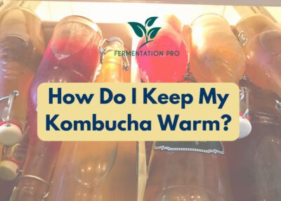 How Do I Keep My Kombucha Warm