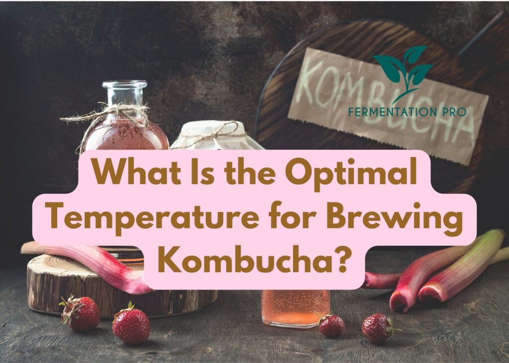 What Is the Optimal Temperature for Brewing Kombucha