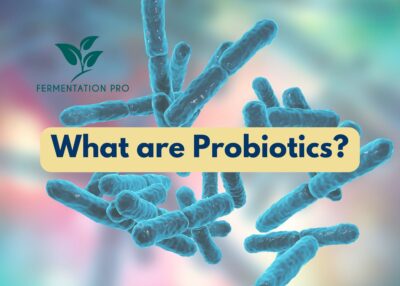 What Are Probiotics?