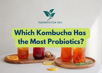 Which Kombucha Has the Most Probiotics