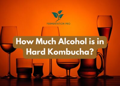 How Much Alcohol Is in Hard Kombucha?