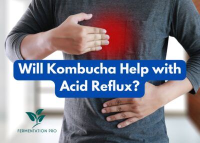 Will Kombucha Help with Acid Reflux?