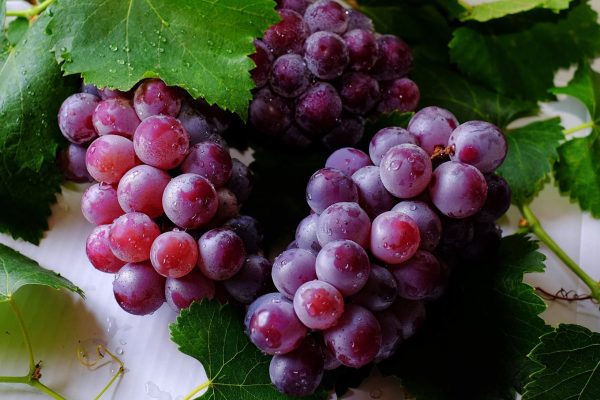 Grape Kombucha Recipe