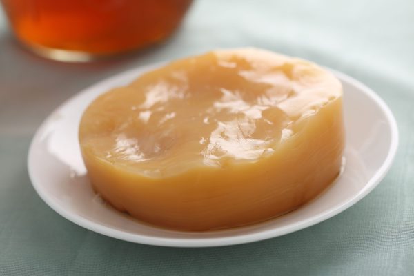 A Kombucha SCOBY often looks like mushroom