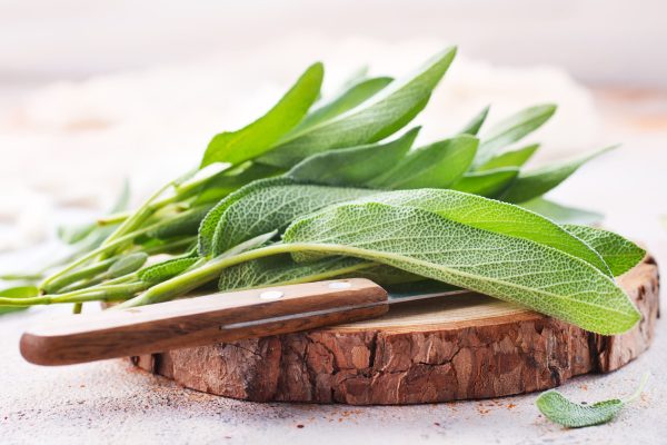 Add herbs and spices like sage for a tastier mango Kombucha