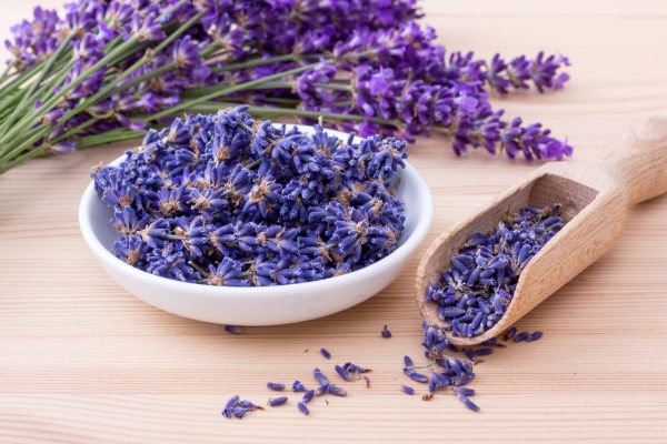 Dried lavender