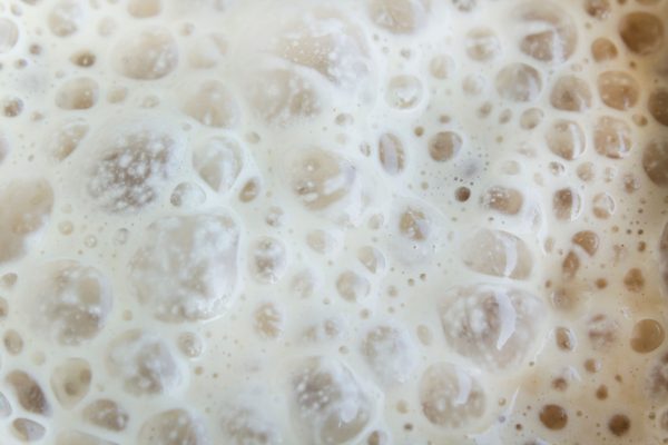 Kahm yeast can damage your entire brew