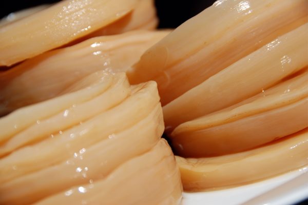 SCOBY plays a major role in the fermentation of your Kombucha