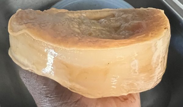 SCOBY quality