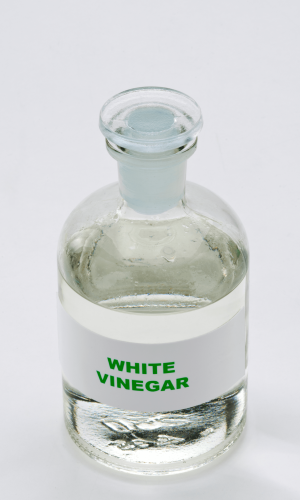 do not use white vinegar for kombucha starter tea