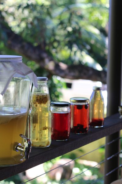 home-brewed Kombucha