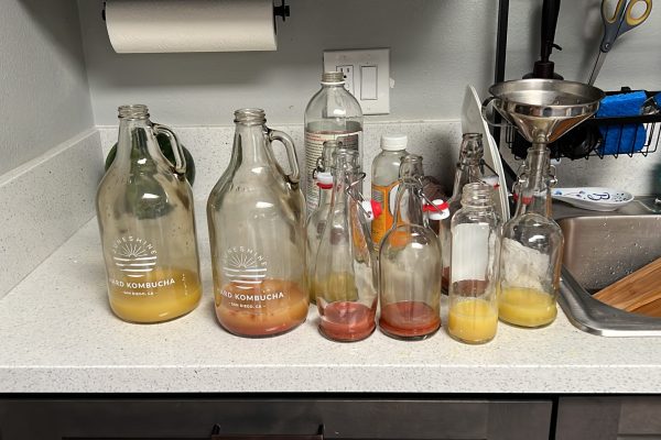several kombucha bottle types